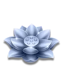 Lucky Coming's gray lotus symbol