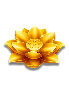 Lucky Coming's golden lotus symbol