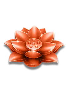 Lucky Coming's brown lotus symbol