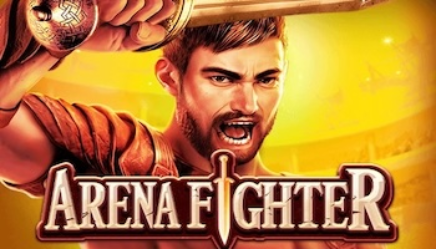Arena Fighter Overview