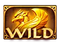 Wild symbol